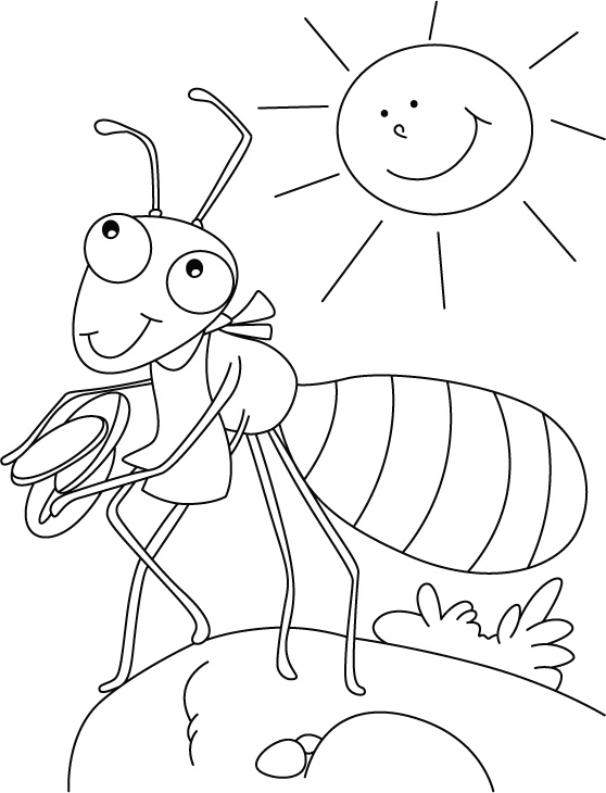 着色页: 蚂蚁 (动物) #6927 - 免费可打印着色页