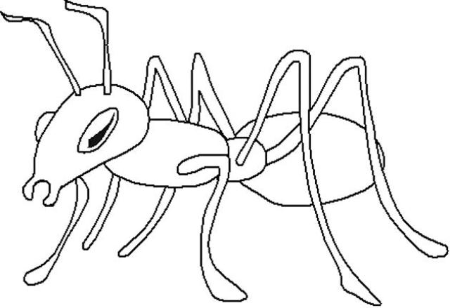 着色页: 蚂蚁 (动物) #6947 - 免费可打印着色页