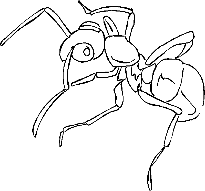 着色页: 蚂蚁 (动物) #6961 - 免费可打印着色页