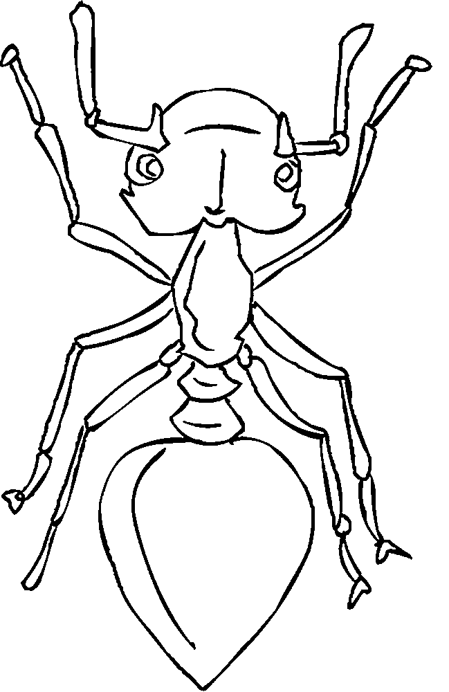 着色页: 蚂蚁 (动物) #6965 - 免费可打印着色页