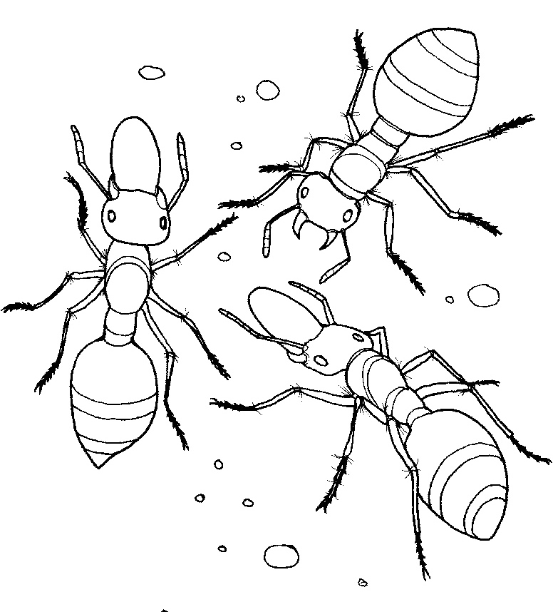着色页: 蚂蚁 (动物) #6993 - 免费可打印着色页