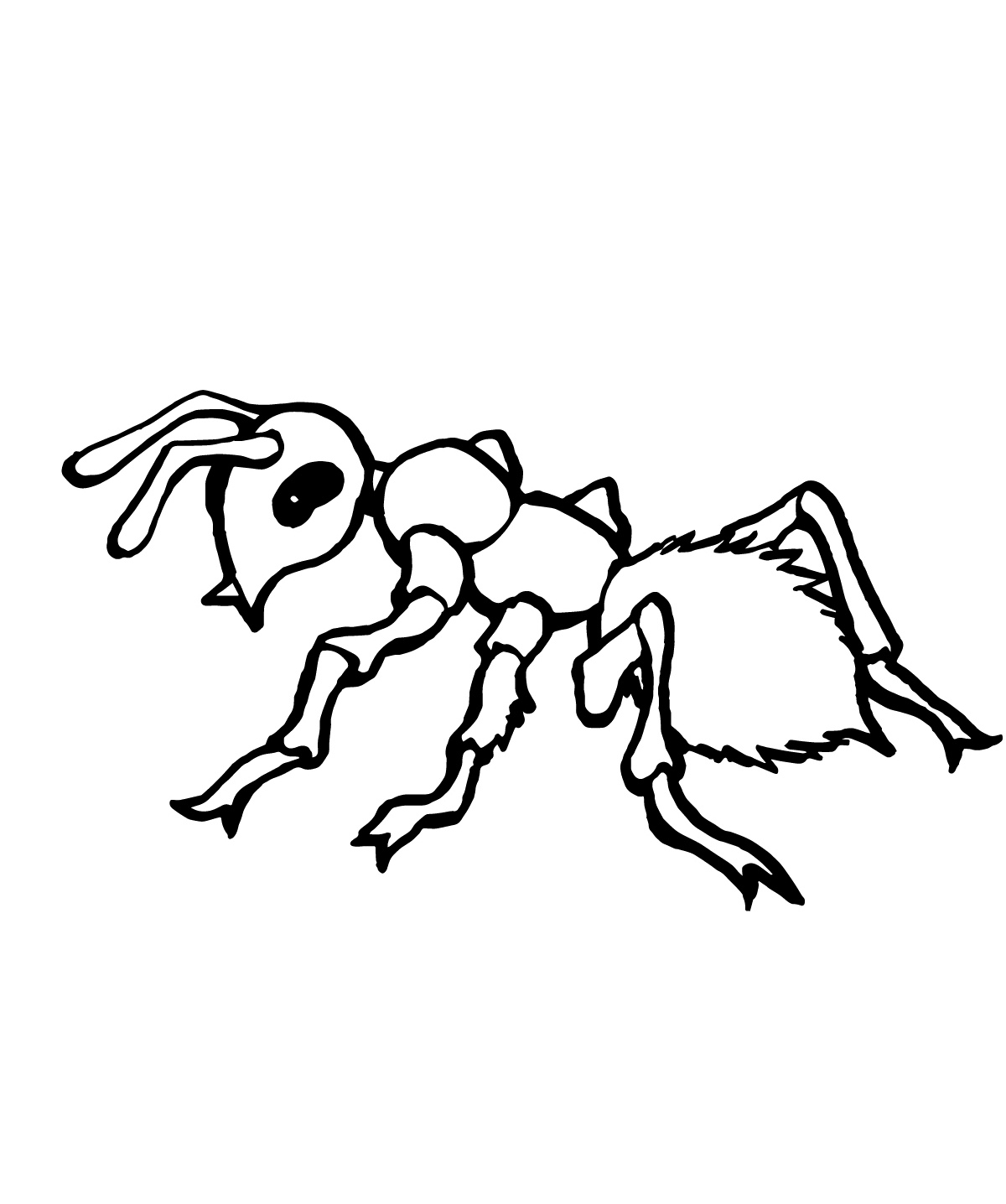 着色页: 蚂蚁 (动物) #7001 - 免费可打印着色页