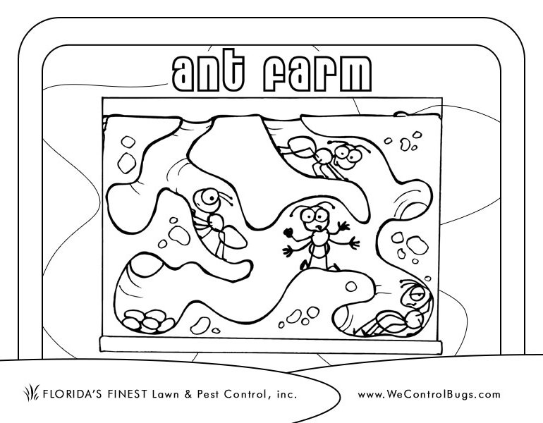 着色页: 蚂蚁 (动物) #7010 - 免费可打印着色页