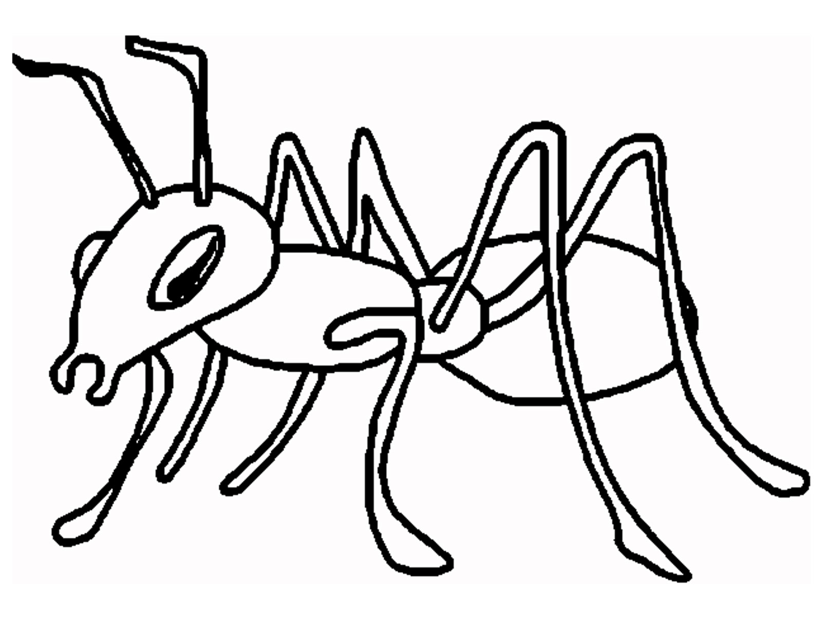 着色页: 蚂蚁 (动物) #7018 - 免费可打印着色页