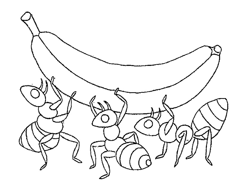 着色页: 蚂蚁 (动物) #7079 - 免费可打印着色页