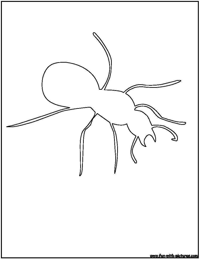 着色页: 蚂蚁 (动物) #7094 - 免费可打印着色页