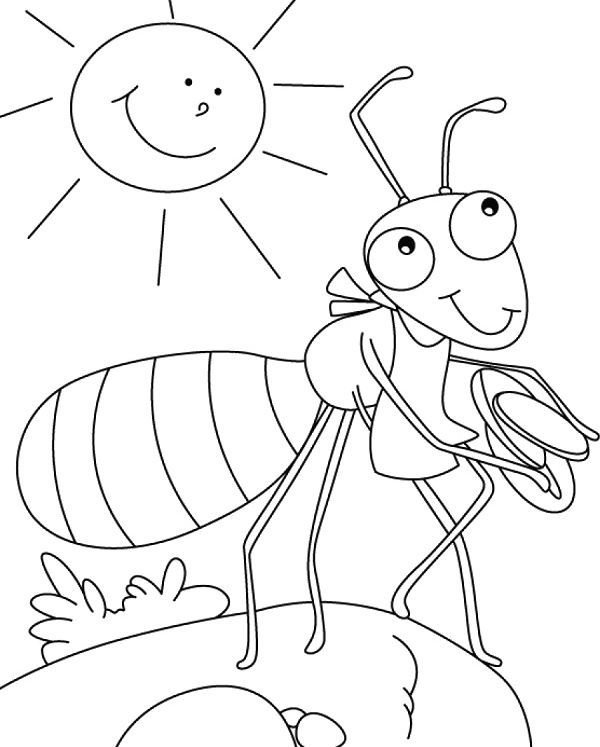 着色页: 蚂蚁 (动物) #7111 - 免费可打印着色页