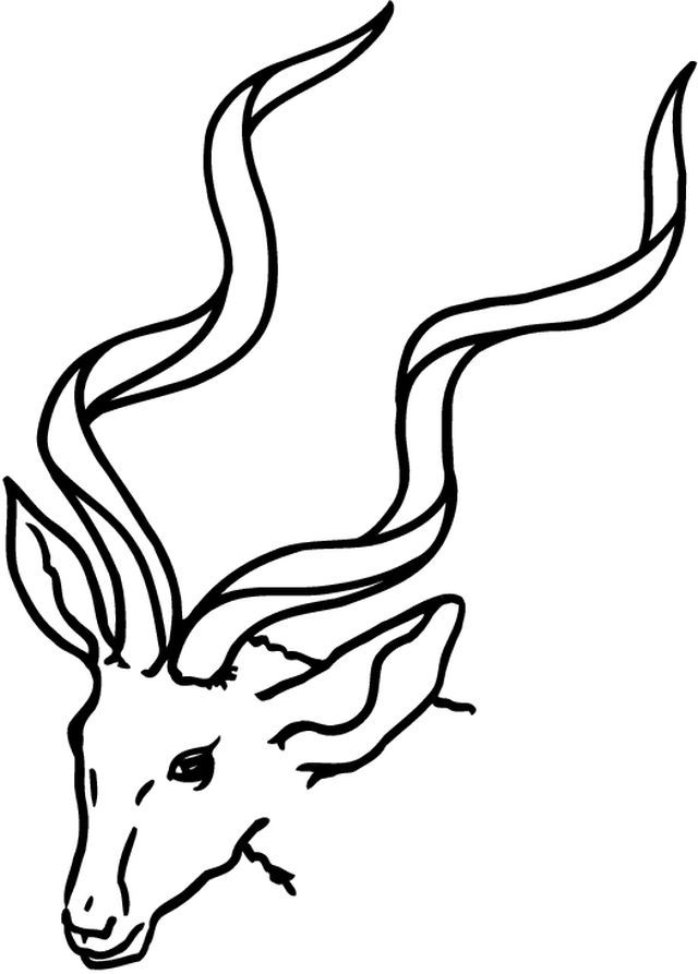 着色页: 羚羊 (动物) #22590 - 免费可打印着色页