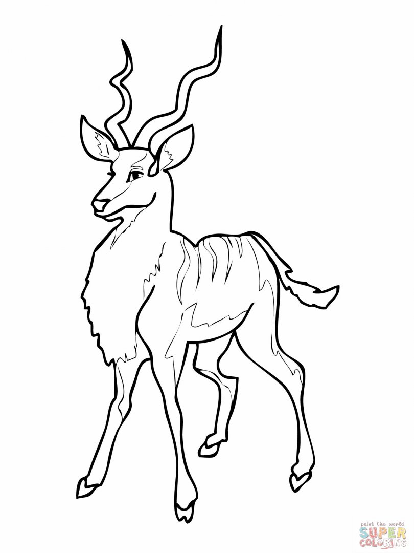 着色页: 羚羊 (动物) #22598 - 免费可打印着色页