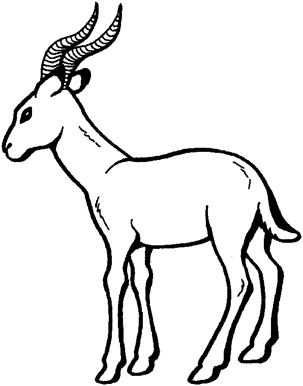 着色页: 羚羊 (动物) #22599 - 免费可打印着色页