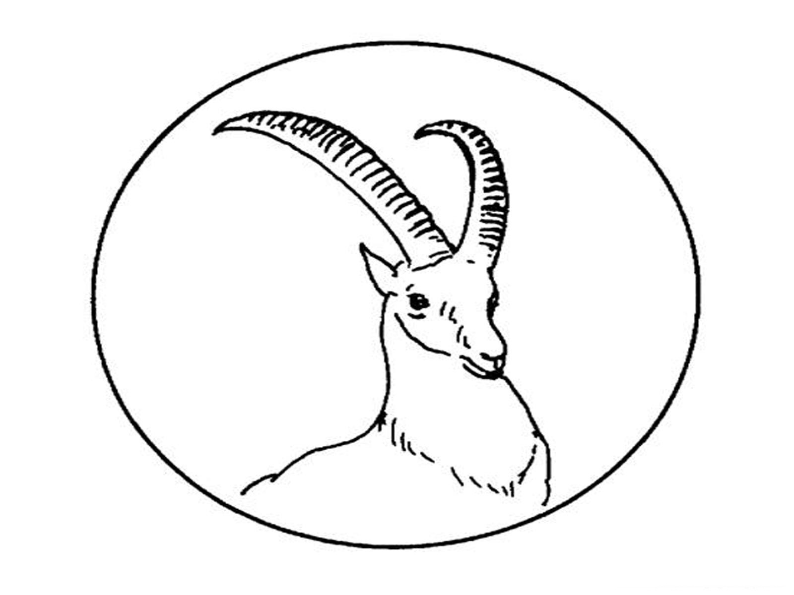 着色页: 羚羊 (动物) #22602 - 免费可打印着色页