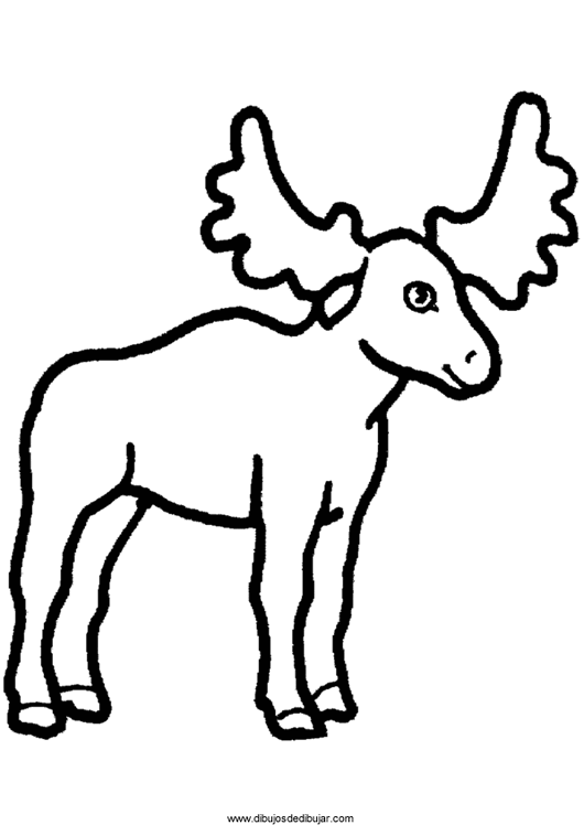着色页: 羚羊 (动物) #22653 - 免费可打印着色页