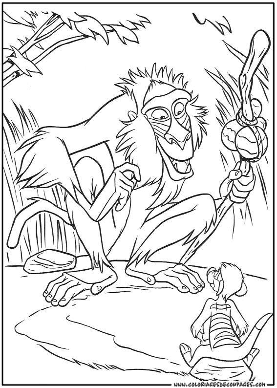 着色页: 狒狒 (动物) #855 - 免费可打印着色页