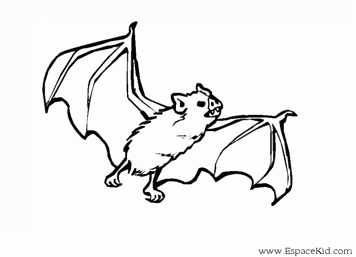 着色页: 蝙蝠 (动物) #1968 - 免费可打印着色页