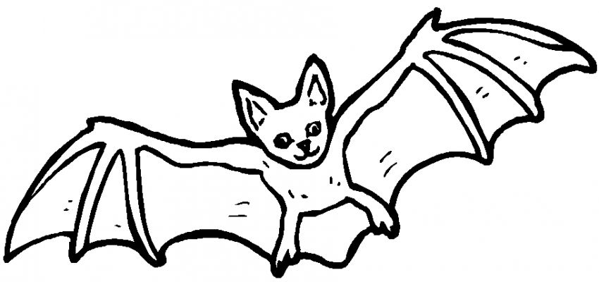着色页: 蝙蝠 (动物) #1975 - 免费可打印着色页