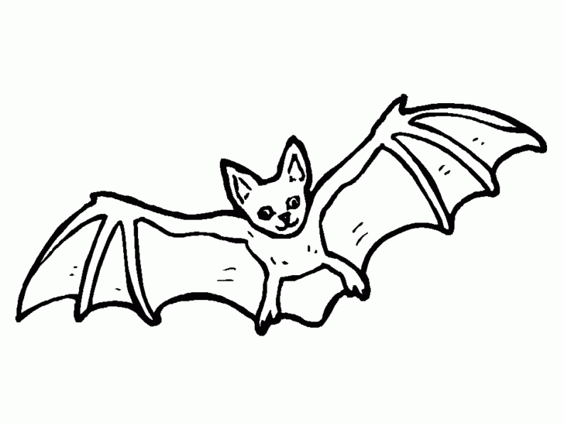 着色页: 蝙蝠 (动物) #2008 - 免费可打印着色页