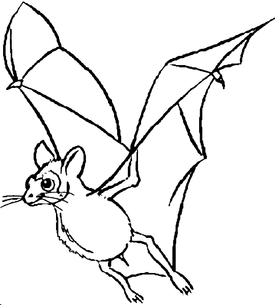 着色页: 蝙蝠 (动物) #2021 - 免费可打印着色页