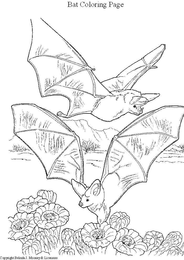 着色页: 蝙蝠 (动物) #2027 - 免费可打印着色页