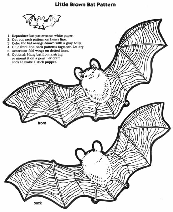 着色页: 蝙蝠 (动物) #2092 - 免费可打印着色页