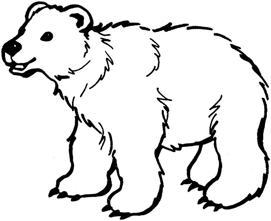 着色页: 熊 (动物) #12184 - 免费可打印着色页