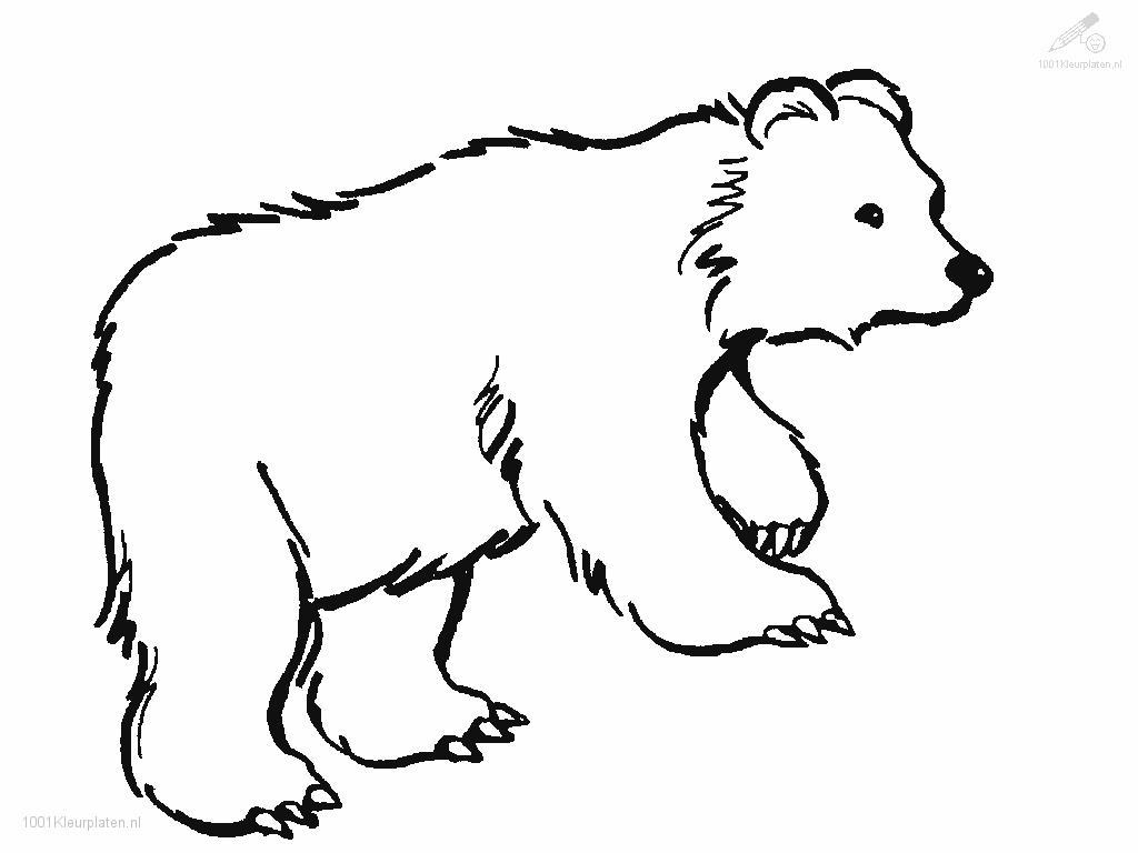 着色页: 熊 (动物) #12188 - 免费可打印着色页