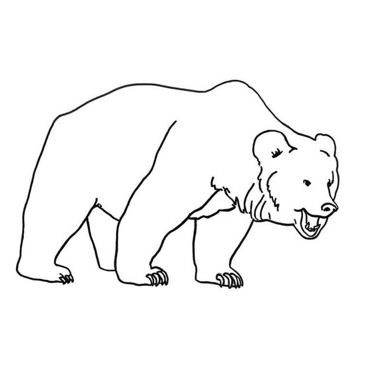 着色页: 熊 (动物) #12189 - 免费可打印着色页