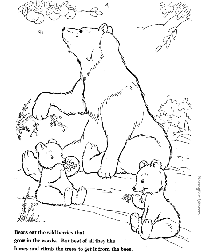 着色页: 熊 (动物) #12232 - 免费可打印着色页