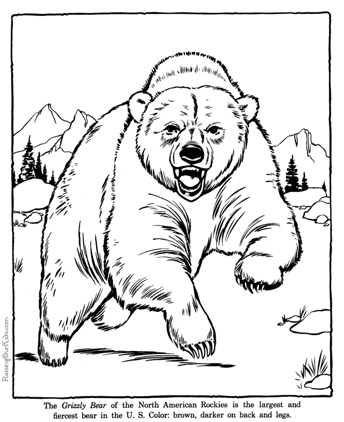 着色页: 熊 (动物) #12293 - 免费可打印着色页