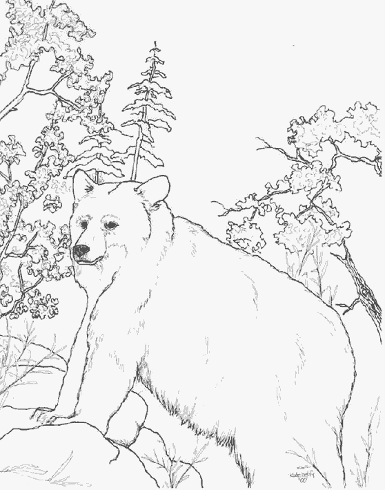 着色页: 熊 (动物) #12314 - 免费可打印着色页