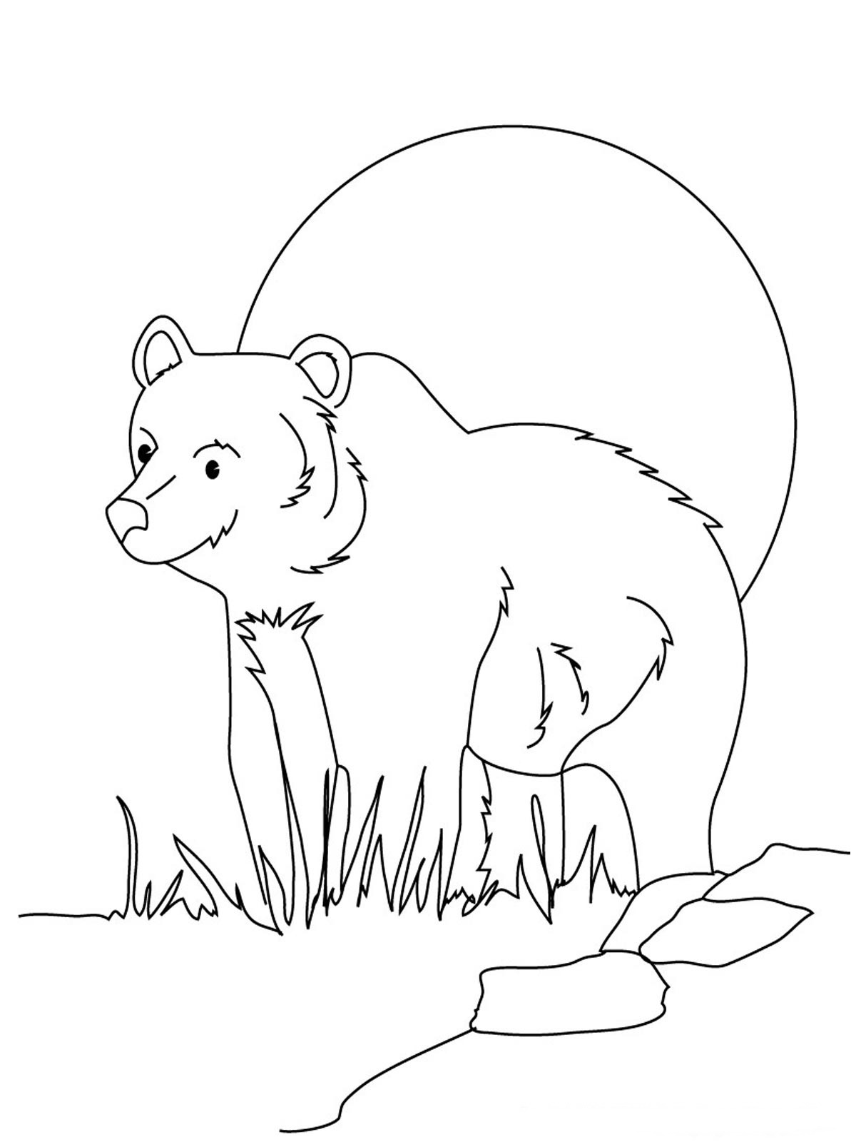着色页: 熊 (动物) #12317 - 免费可打印着色页