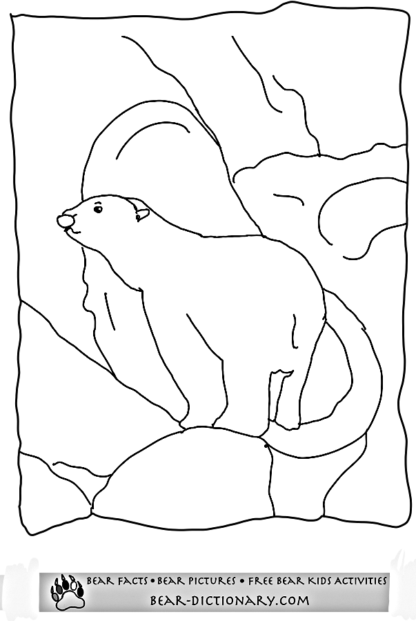 着色页: 熊 (动物) #12353 - 免费可打印着色页