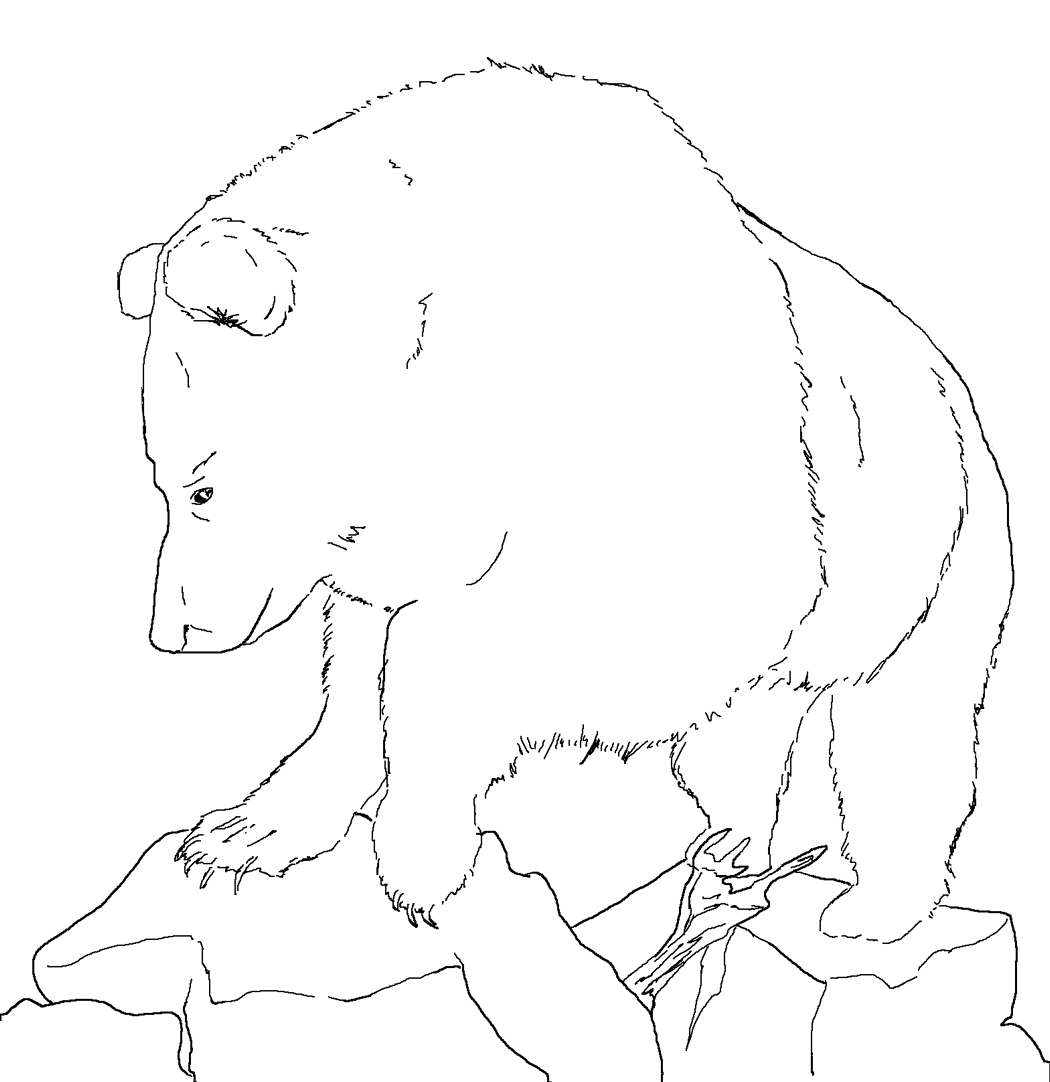 着色页: 熊 (动物) #12368 - 免费可打印着色页