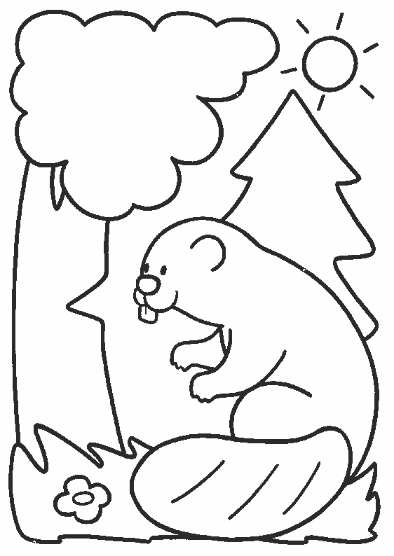 着色页: 海狸 (动物) #1594 - 免费可打印着色页