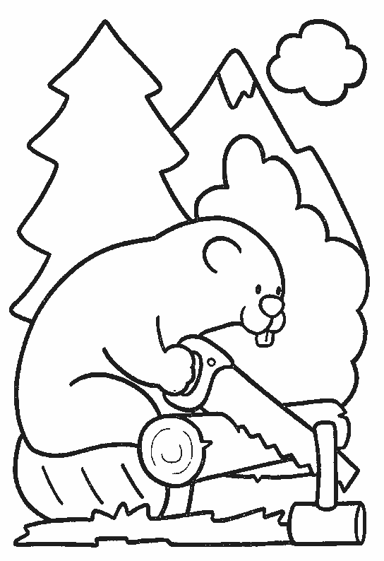 着色页: 海狸 (动物) #1595 - 免费可打印着色页