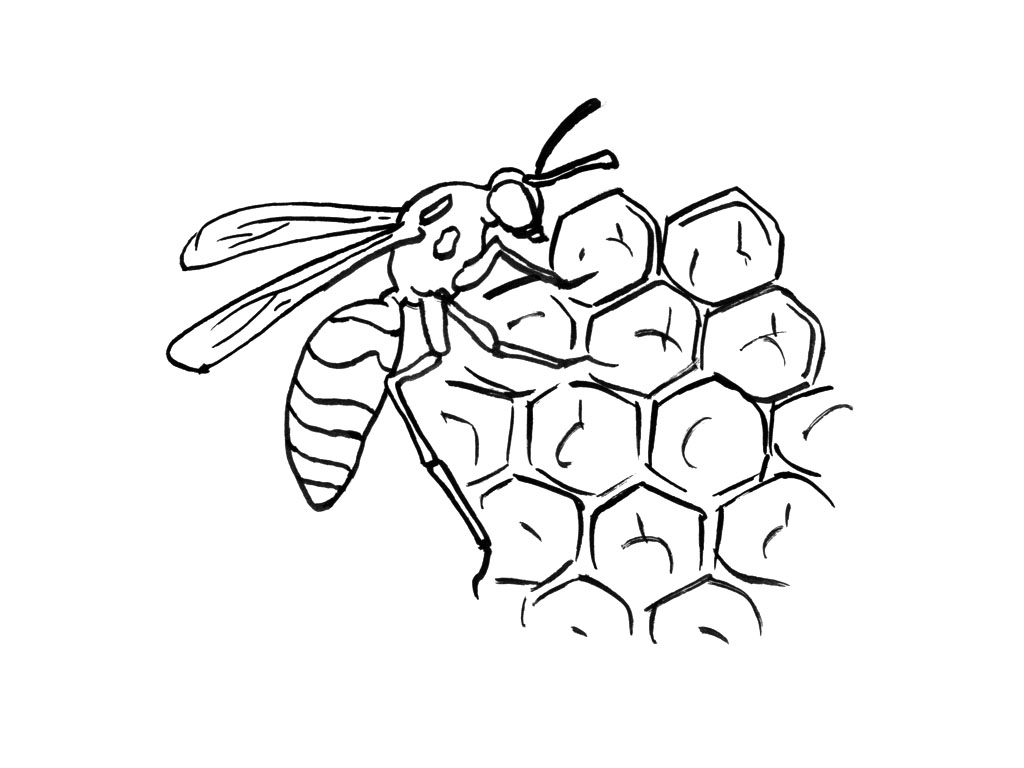 着色页: 蜜蜂 (动物) #142 - 免费可打印着色页