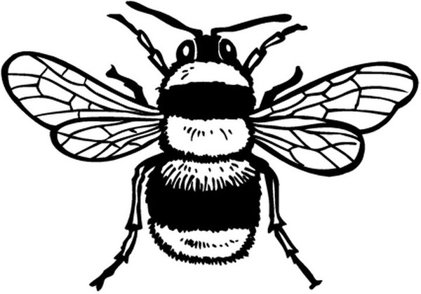 着色页: 蜜蜂 (动物) #97 - 免费可打印着色页