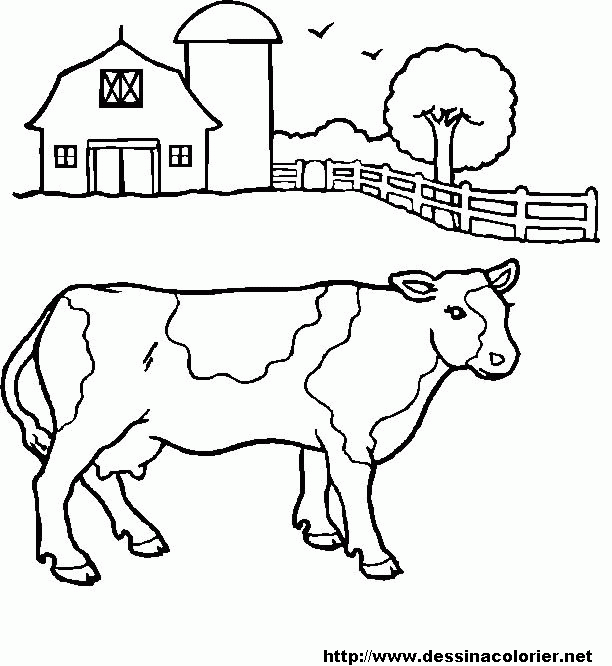 着色页: 牛肉 (动物) #1347 - 免费可打印着色页