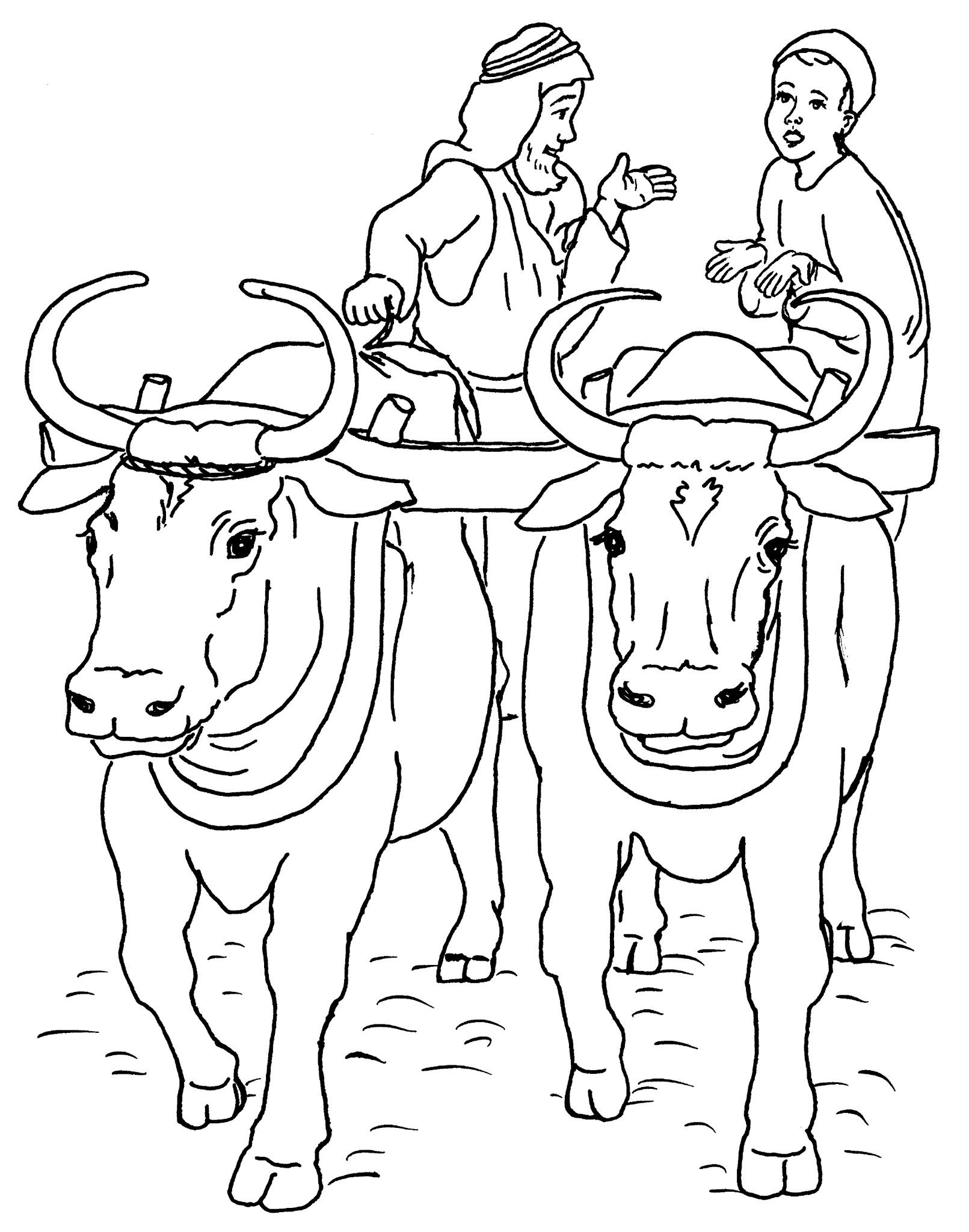 着色页: 牛肉 (动物) #1356 - 免费可打印着色页