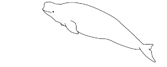 着色页: 白鲸 (动物) #1040 - 免费可打印着色页