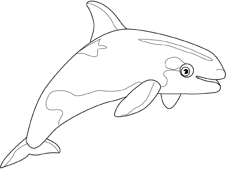 着色页: 白鲸 (动物) #1073 - 免费可打印着色页