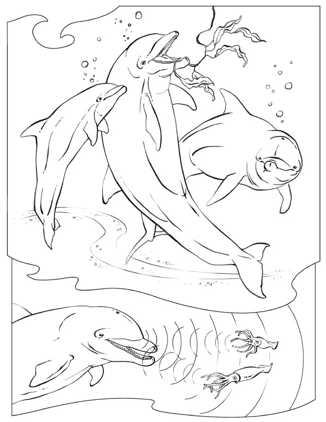 着色页: 白鲸 (动物) #1088 - 免费可打印着色页