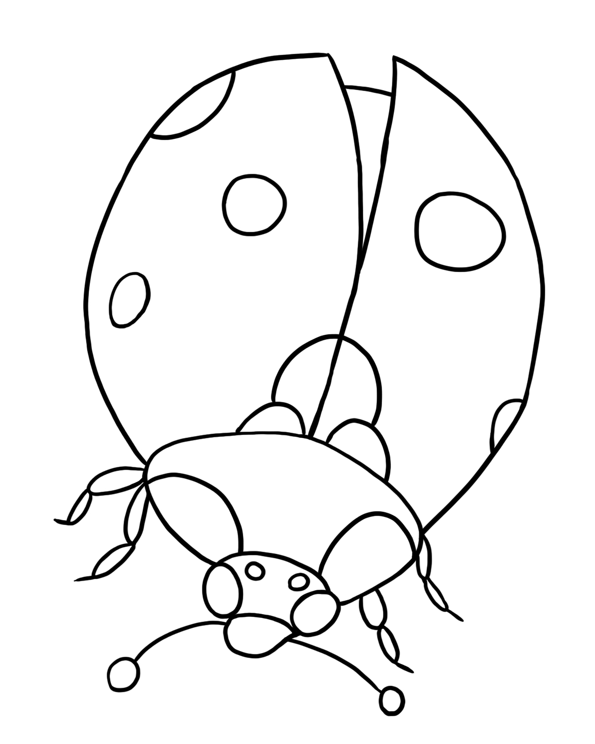 着色页: 瓢虫 (动物) #3397 - 免费可打印着色页