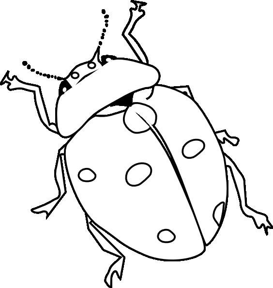 着色页: 瓢虫 (动物) #3400 - 免费可打印着色页