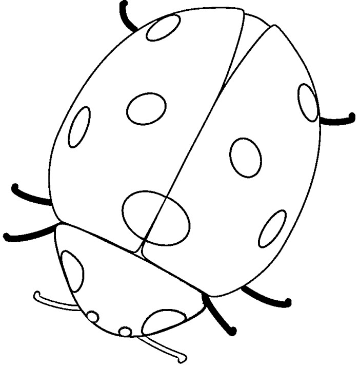 着色页: 瓢虫 (动物) #3418 - 免费可打印着色页