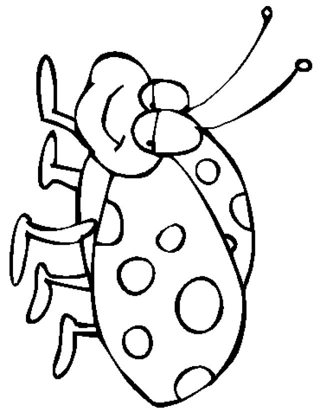 着色页: 瓢虫 (动物) #3475 - 免费可打印着色页