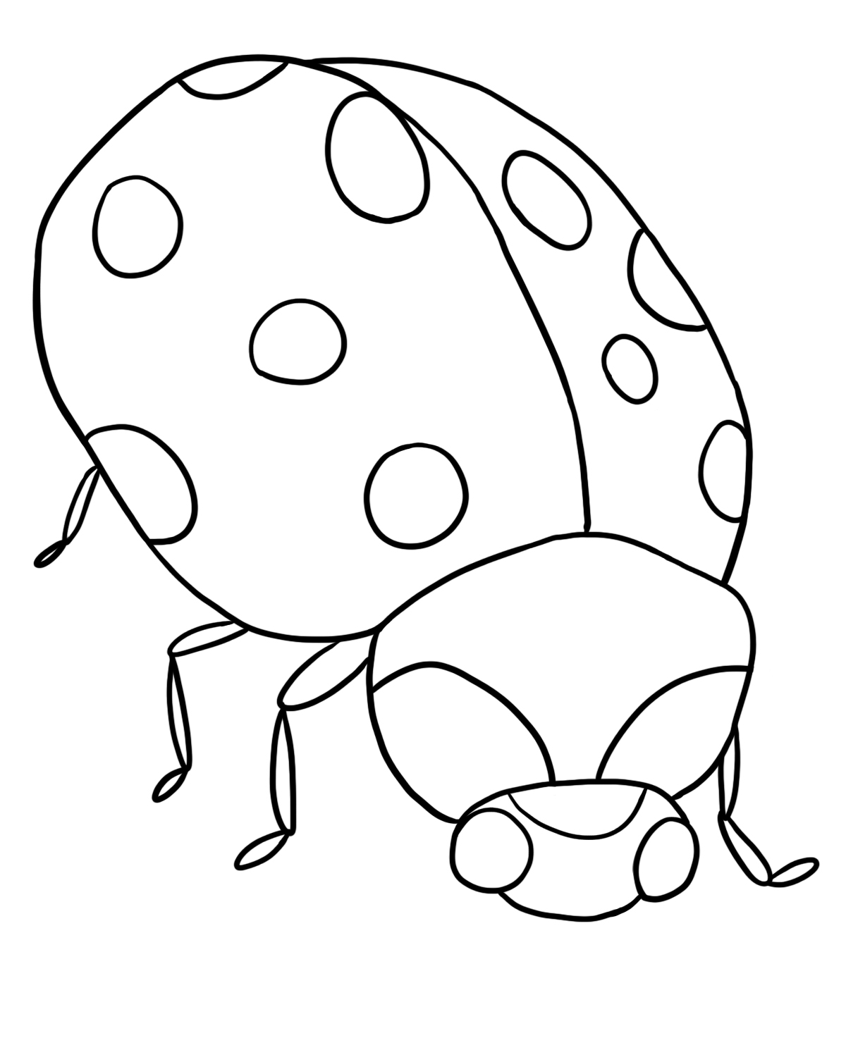 着色页: 瓢虫 (动物) #3547 - 免费可打印着色页
