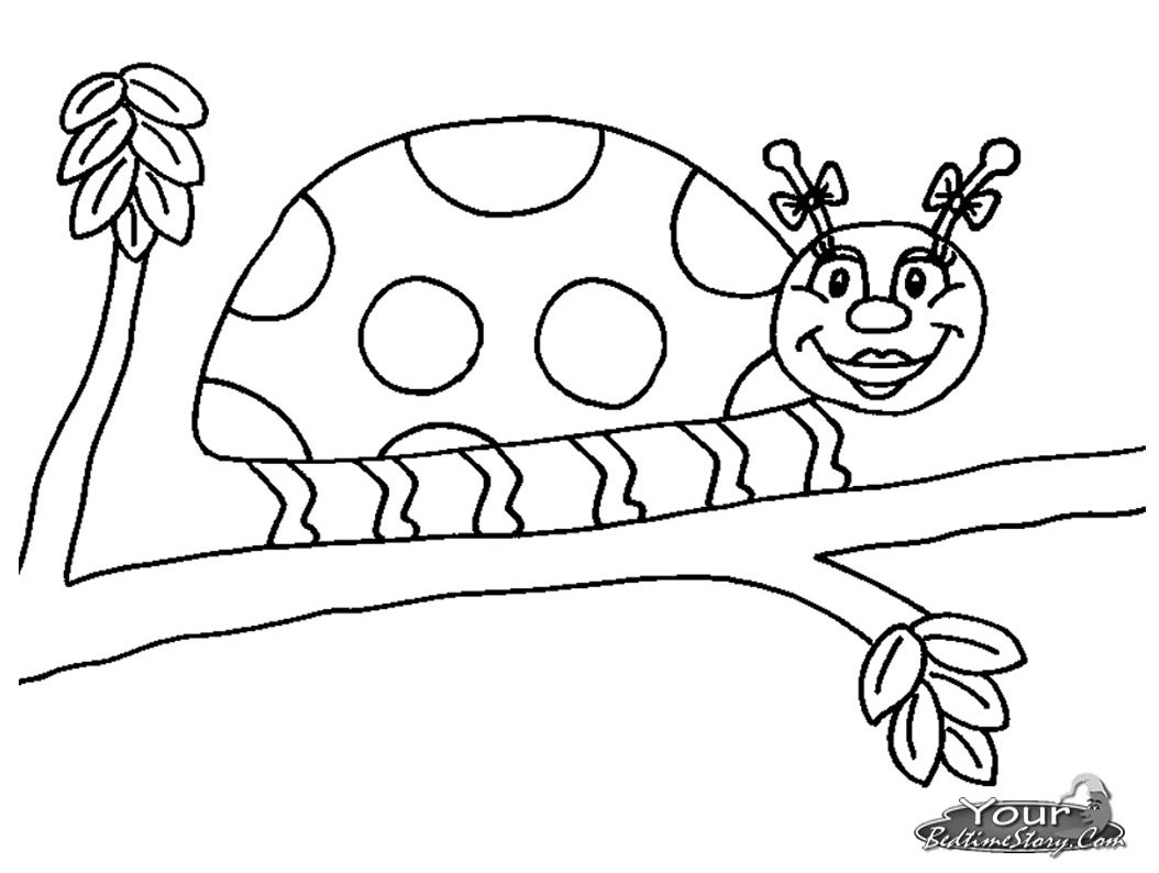 着色页: 瓢虫 (动物) #3568 - 免费可打印着色页