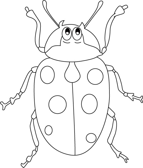着色页: 瓢虫 (动物) #3580 - 免费可打印着色页
