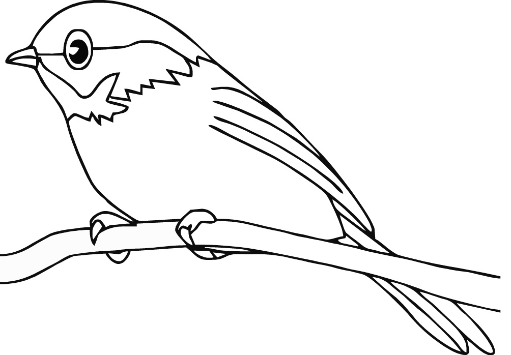 着色页: 鸟类 (动物) #11840 - 免费可打印着色页