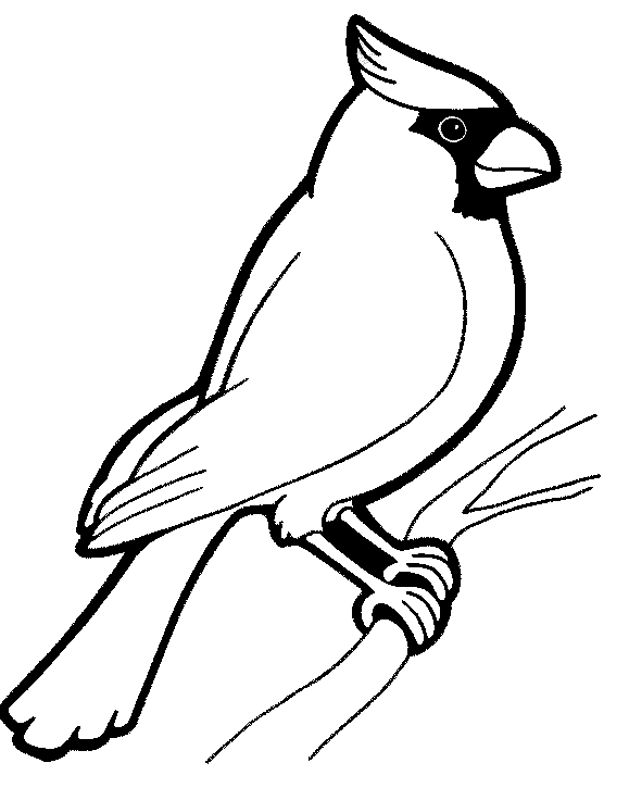 着色页: 鸟类 (动物) #11846 - 免费可打印着色页